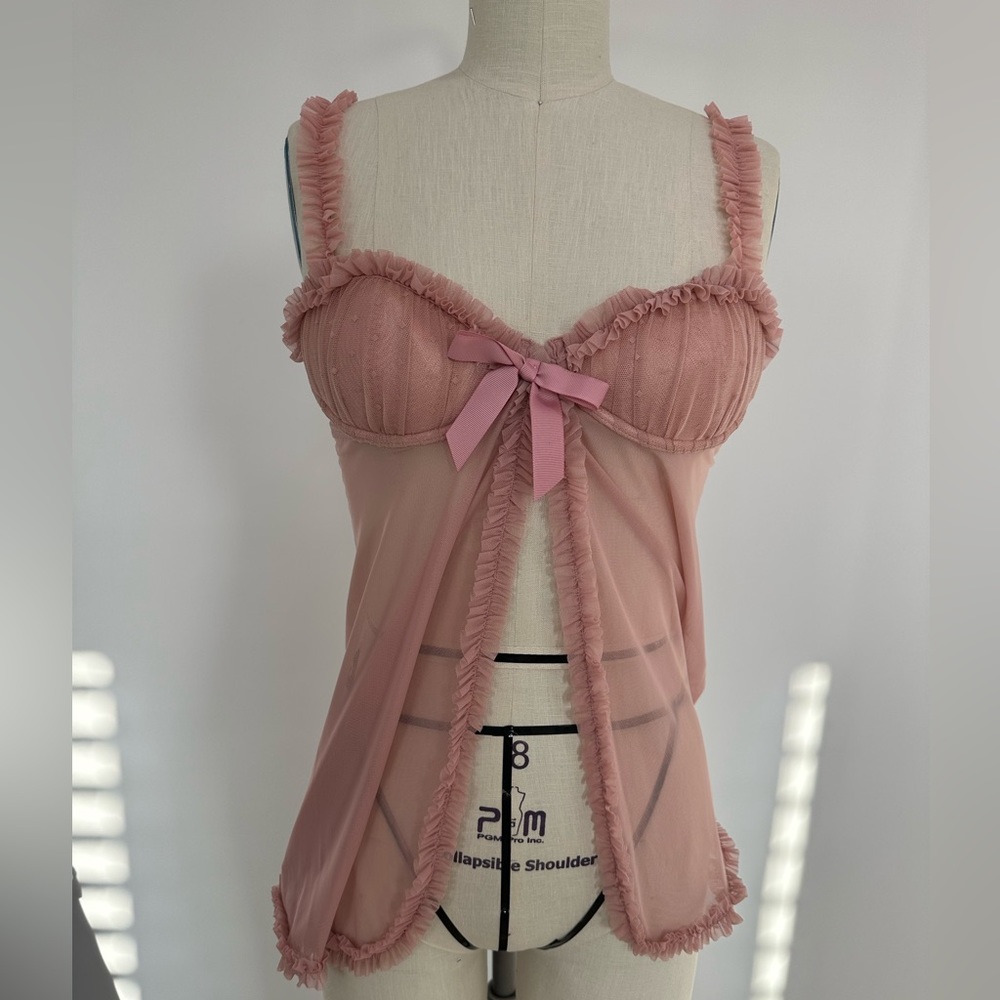 VS sexy little pink mesh lingerie